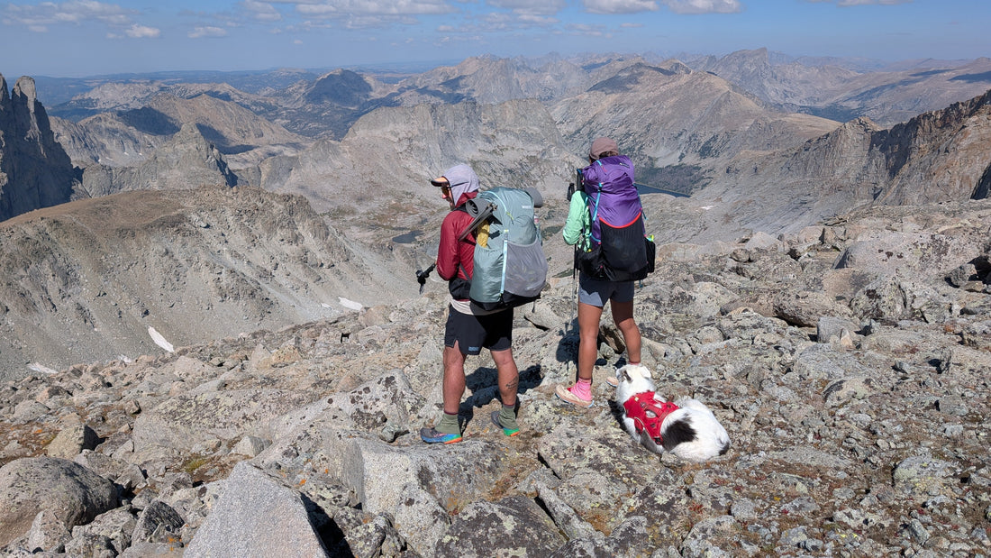 Hiking the Wind River High Route with a Dog