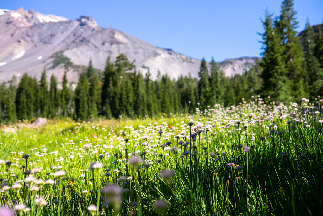 7 West Coast Hikes Perfect for Spring
