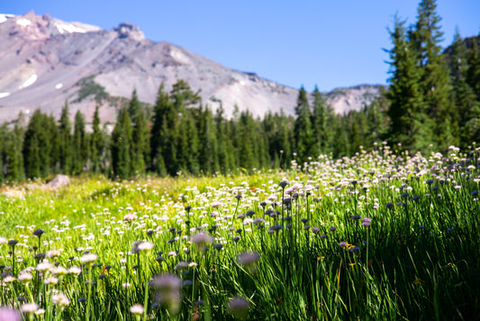 7 West Coast Hikes Perfect for Spring